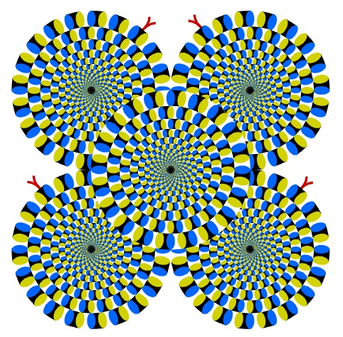 pic illusions