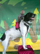 dillion_george31372922_std1.jpg