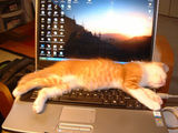 keyboardstretch.jpg