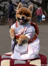 kimono.jpg