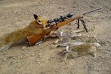 Good_Hunting.jpg