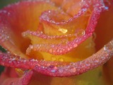 46738710-M.jpg