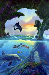 7-dolphins.jpg