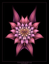 Wick5ter-digital-art-fractal-Grand_Pink_Bloom.jpg
