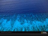 belize-caribbean-aerial-658076-sw.jpg