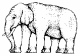 elephant.gif