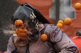 festival_17_r.jpg