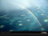 glover-reef-carribean-16671-sw.jpg