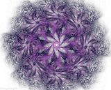 norwegian-angel-abstract-digital-art-fractal-flowers2.jpg