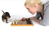 playingchess.jpg