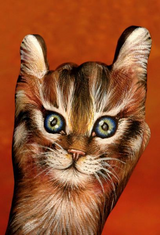 slide0011_image021.png